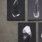 Bienvenue studio / Small Print Collection