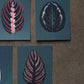 Bienvenue studio / Small Print Collection