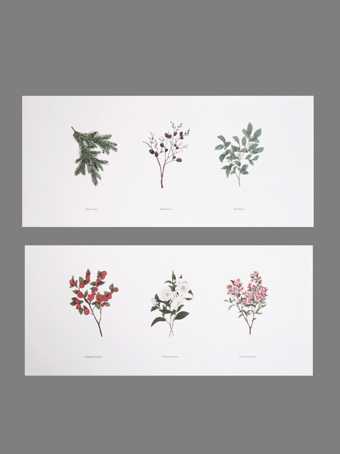 GIFT CARD for WINTER