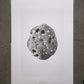 Bienvenue studios / LIMITED PRINTS (A3)