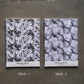Bienvenue studios / Notebook (Glacier Edition)