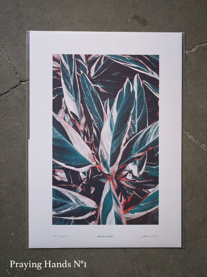 Bienvenue studios / LIMITED PRINTS (A3)