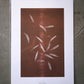 Bienvenue studios / LIMITED PRINTS (A3)